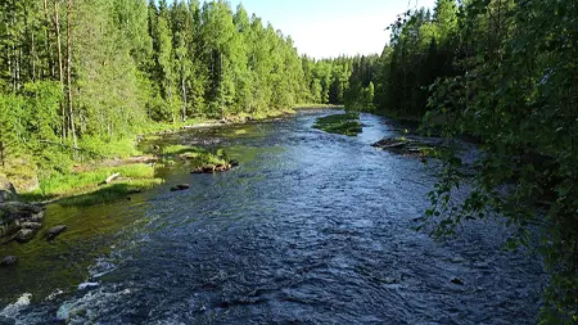 img_20200620_1741001