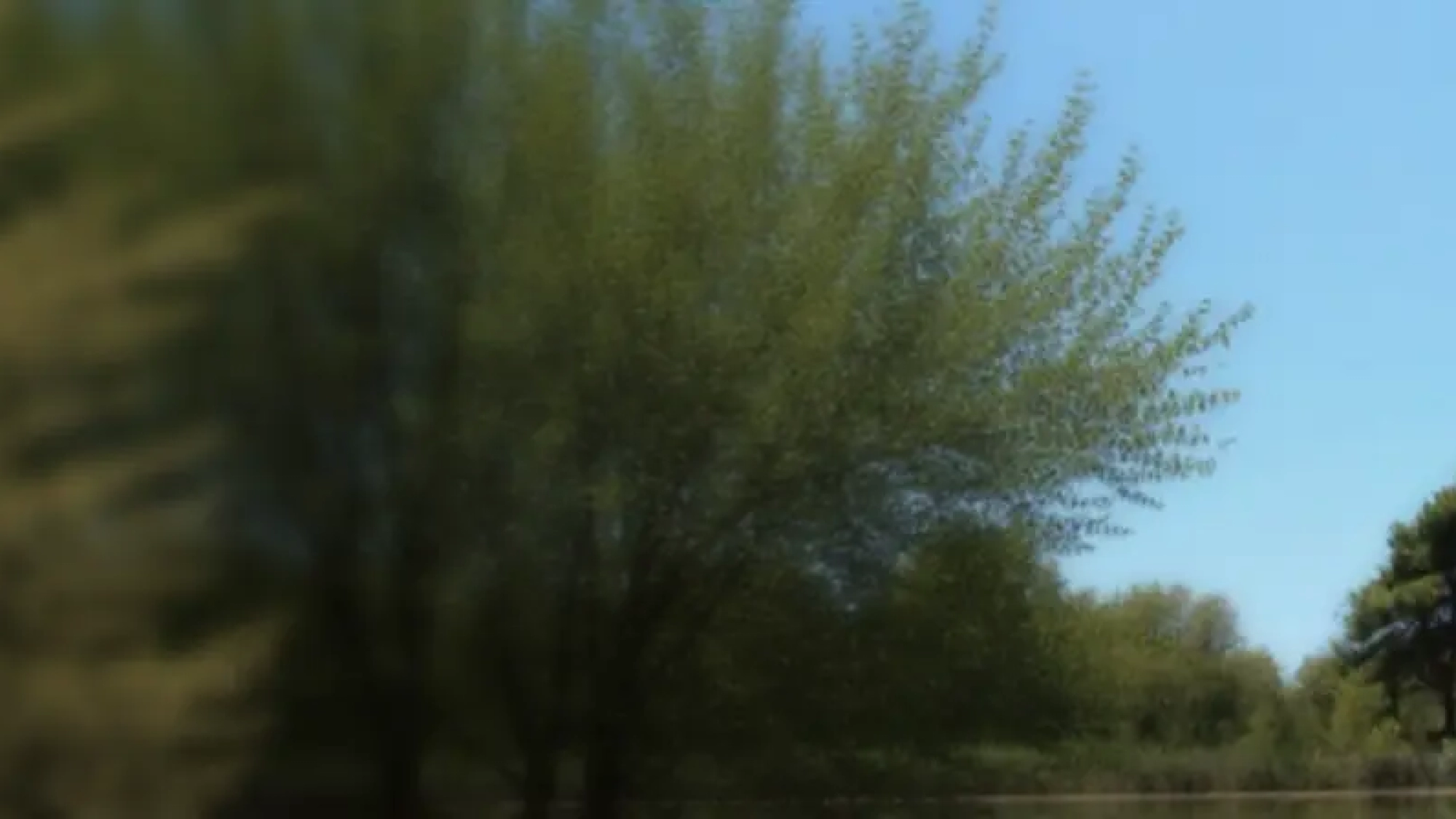 Ярко-красный SUP борд с изображением рыбы на деревянном пирсе у воды